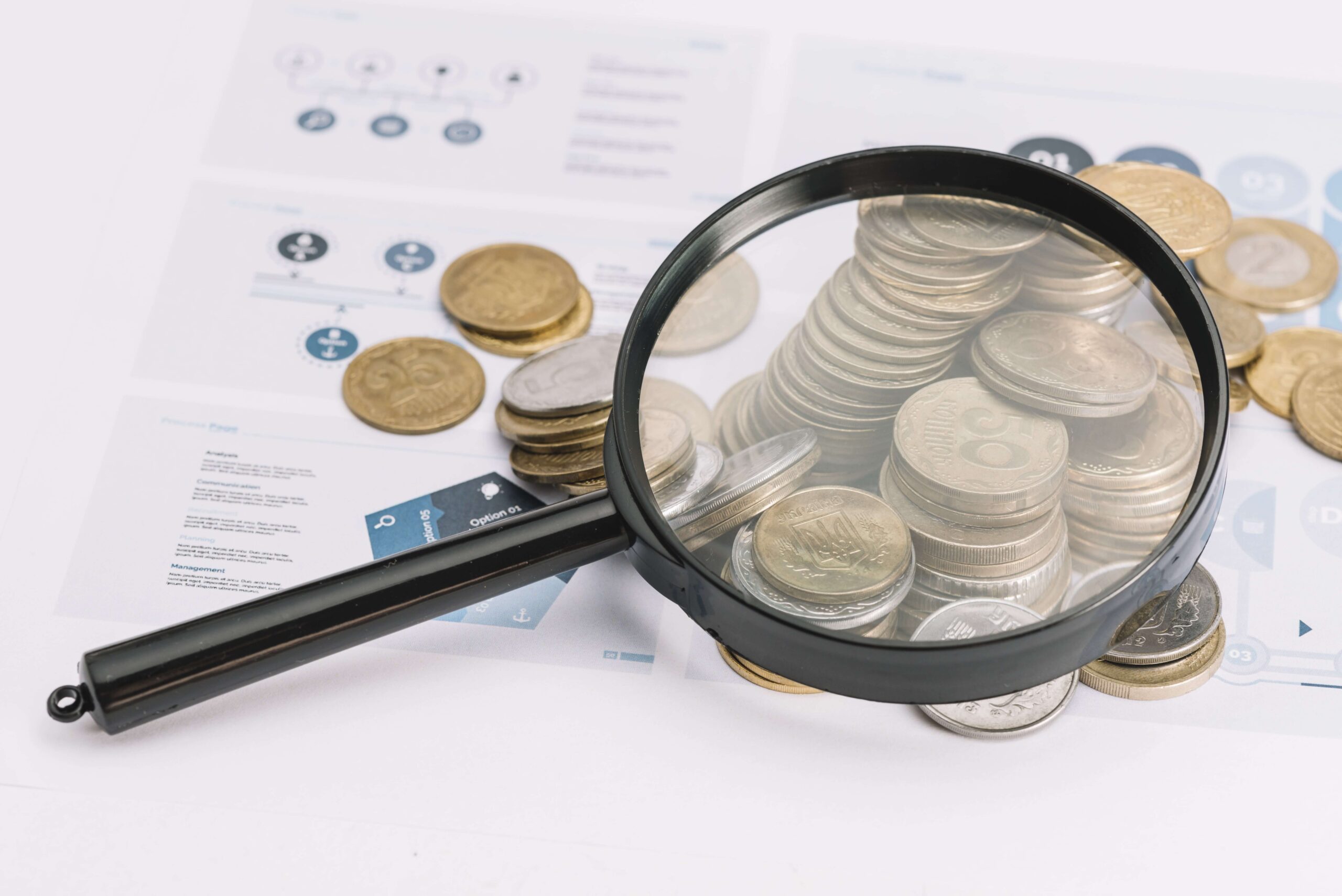 Financial Oversight 	